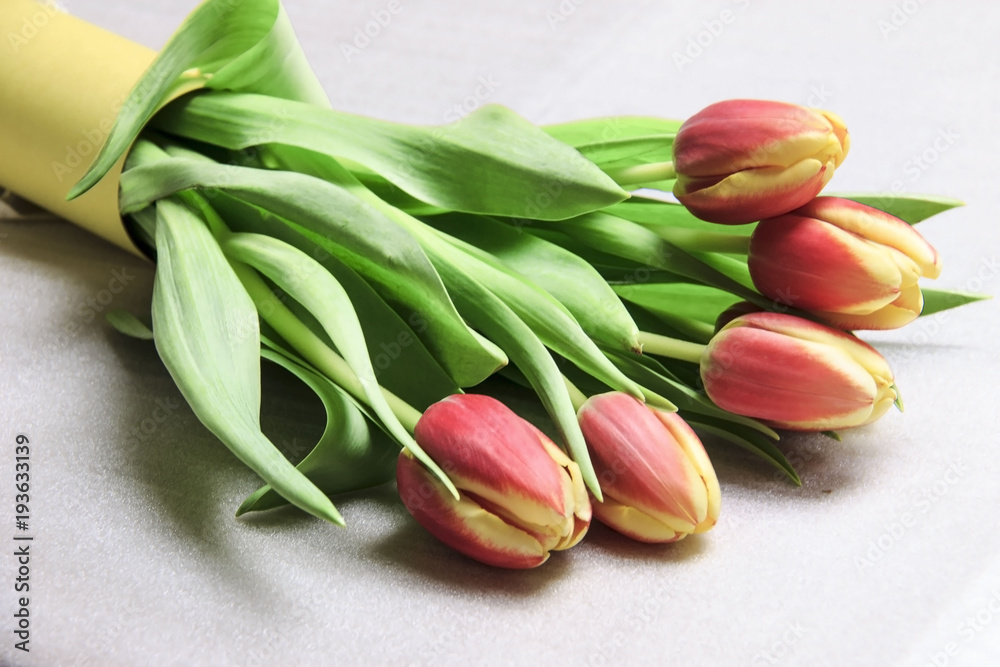 Bouquet of tulips on a white background. Greeting card design. Copy space for text. Women's Day or Mother's Day greeting card. Bouquet of tulips on a white background. Greeting card design. Copy space for text. Women's Day or Mother's Day greeting card.