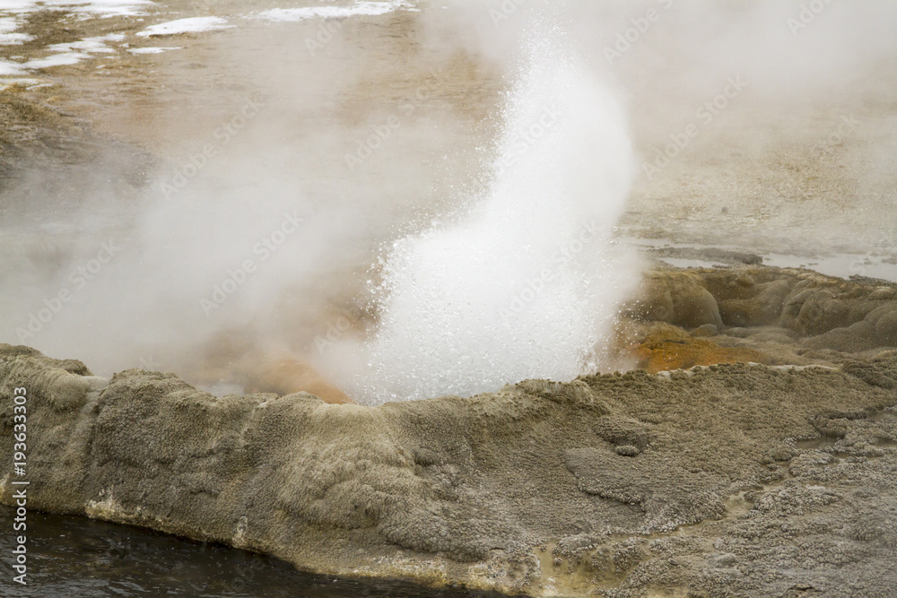 Steaming geyser vents at Fountain Paint Pots in Yellowstone National Park
