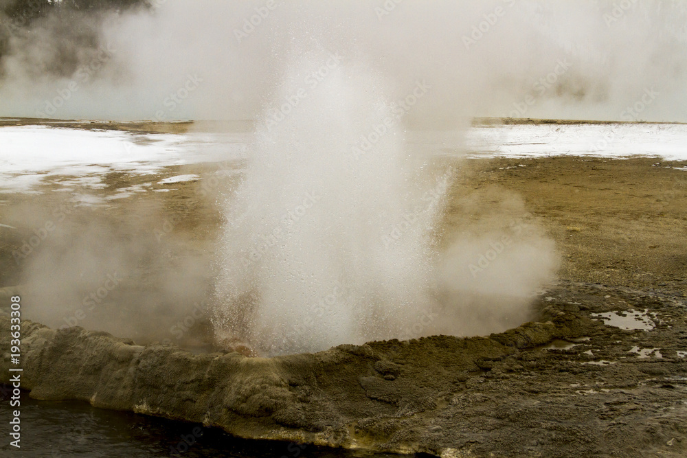 Steaming geyser vents at Fountain Paint Pots in Yellowstone National Park