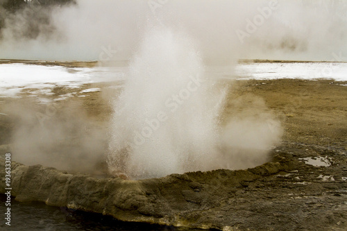 Steaming geyser vents at Fountain Paint Pots in Yellowstone National Park © karenfoleyphoto