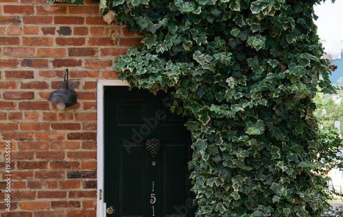 Vines covering entrance door on brick building