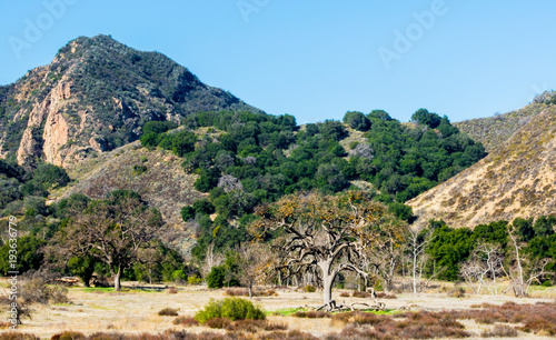 mountain peak and hills covered with lush green trees and golden coastal sage and chaparral in the Santa Monica Mountains of California