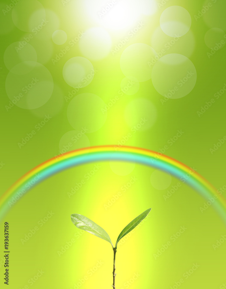 エコロジー　エコロジー背景　自然環境　成長