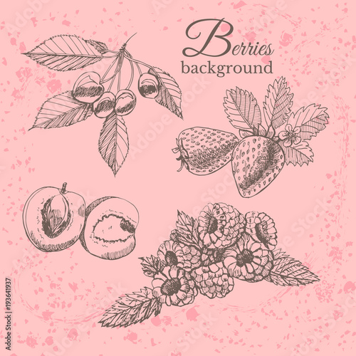 Hand drawn sketch with berries on  vintage background. Vector illustration strawberry, raspberries, currant, cherry, apicot. photo