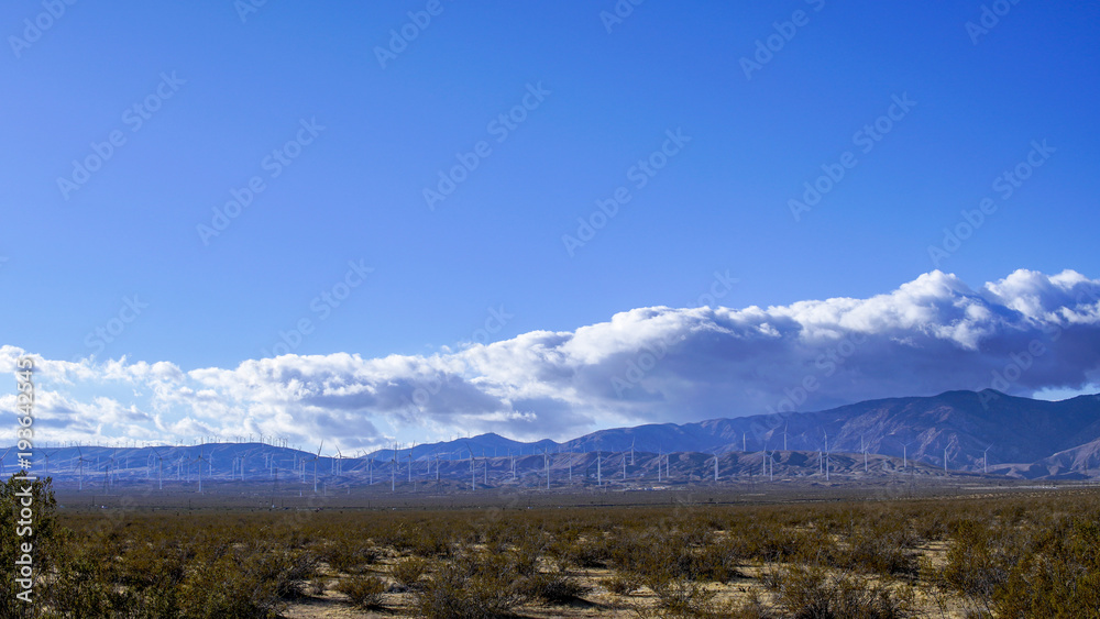 Desert Landscape Desert Landscape