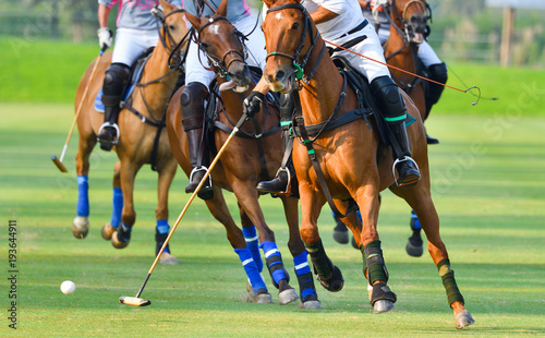 Selective focus the Horse Polo players