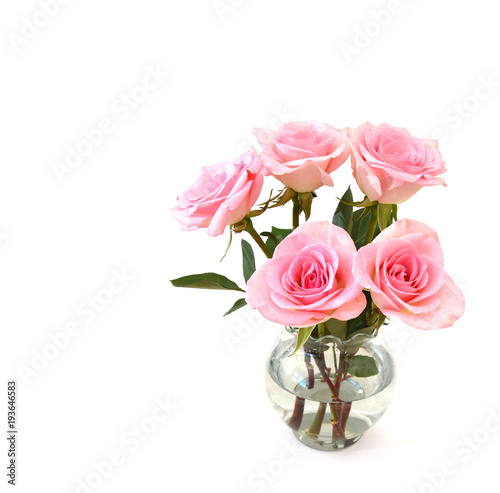 Beautiful pink rose flowers with leaves isolated on white
