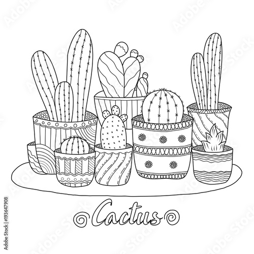 Cactus for adult and children coloring book. Handdrawn. vector illustration.