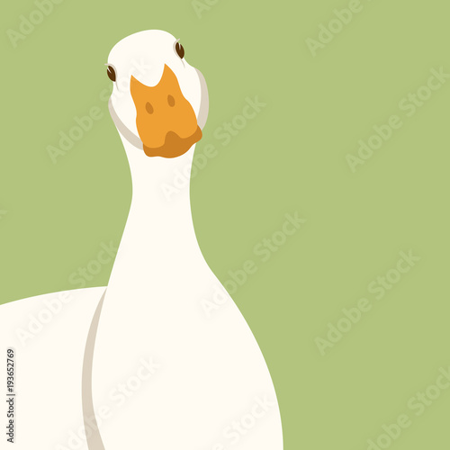 duck head vector illustration flat style front