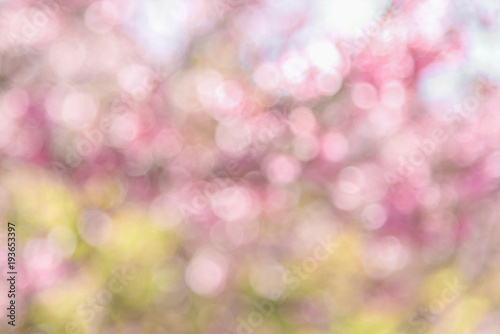 Abstract pink nature background with bokeh defocused lights