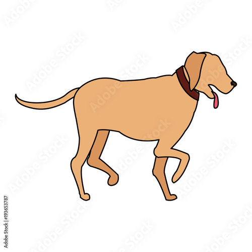 Dog pet cartoon icon vector illustration graphic design