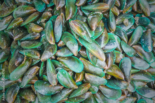 Mussels (Perna viridis) in the sea food market.
