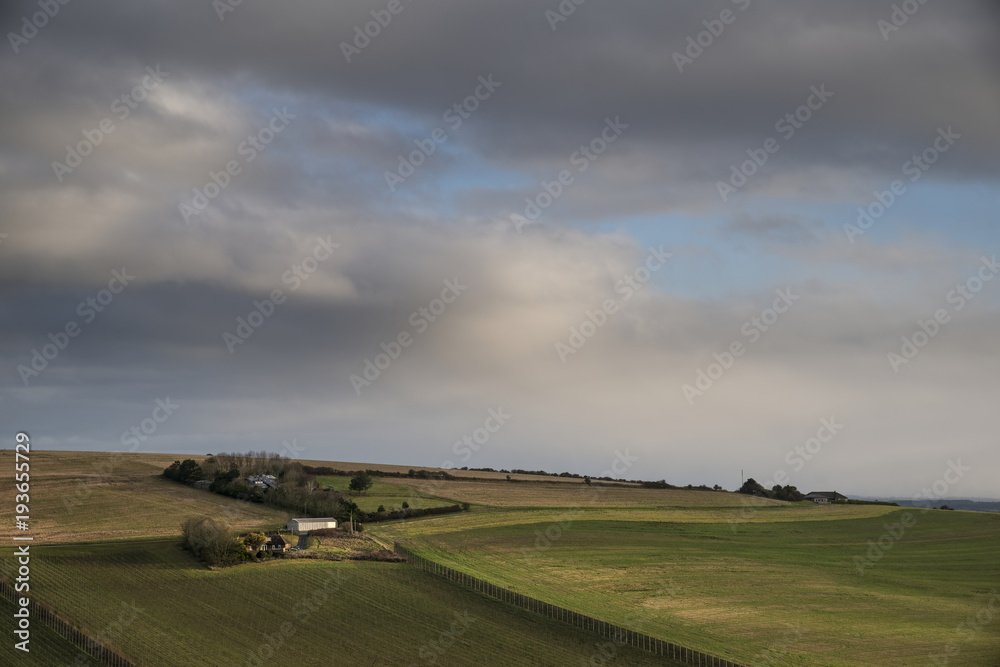 Landscape image of vineyard in English countryside scene with dramatic sky and clouds