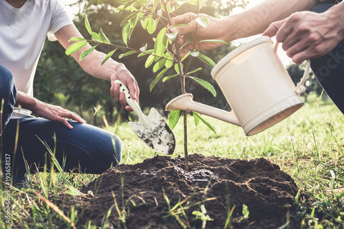 Fotografi Young couple planting the tree while Watering a tree working in the garden as sa