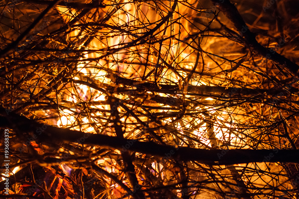Fire in nature. Small branches in the night fire Fire in nature. Small branches in the night fire