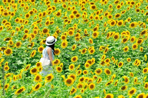 ヒマワリ畑と少女 Stock 写真 Adobe Stock