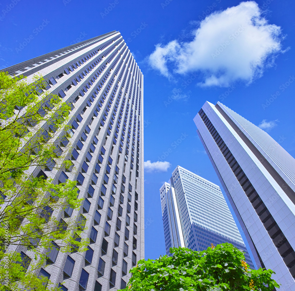 Obraz premium 新緑の新宿副都心の風景