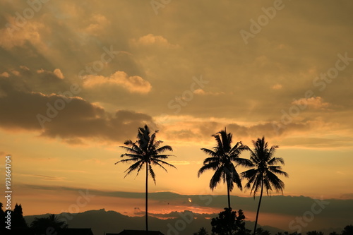 Beautiful Orange Sunset landscape with palm trees © Asmara