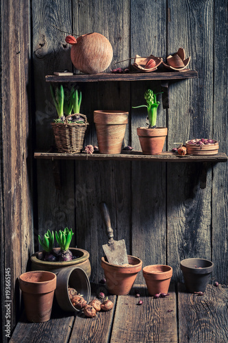 Wooden shed with old clay pots and gardening tools