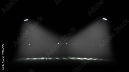 pedestrian crossing in the dark