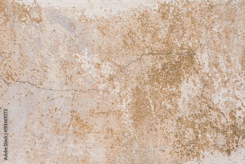 Wallpaper Mural Wall fragment with scratches and cracks Torontodigital.ca