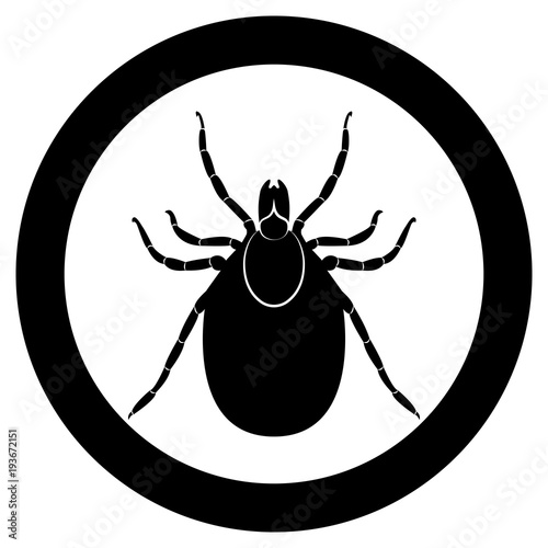 Vector image of a silhouette of a tick on a white background.
