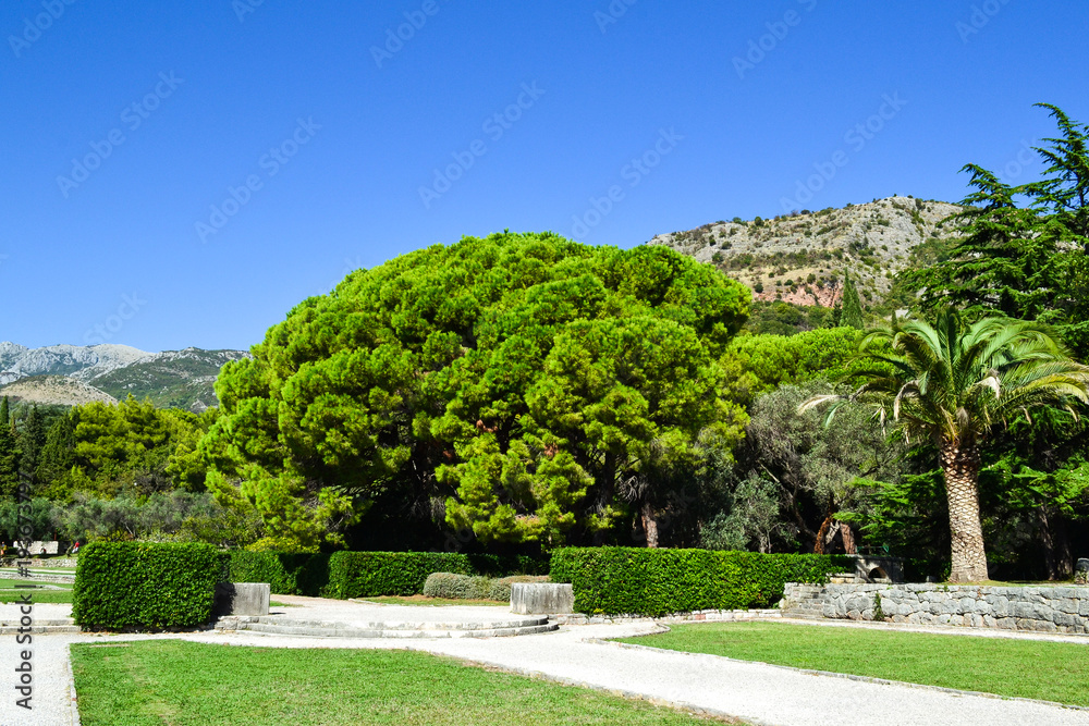 The path in the garden, green lawns with paths, the design of the landscaped garden