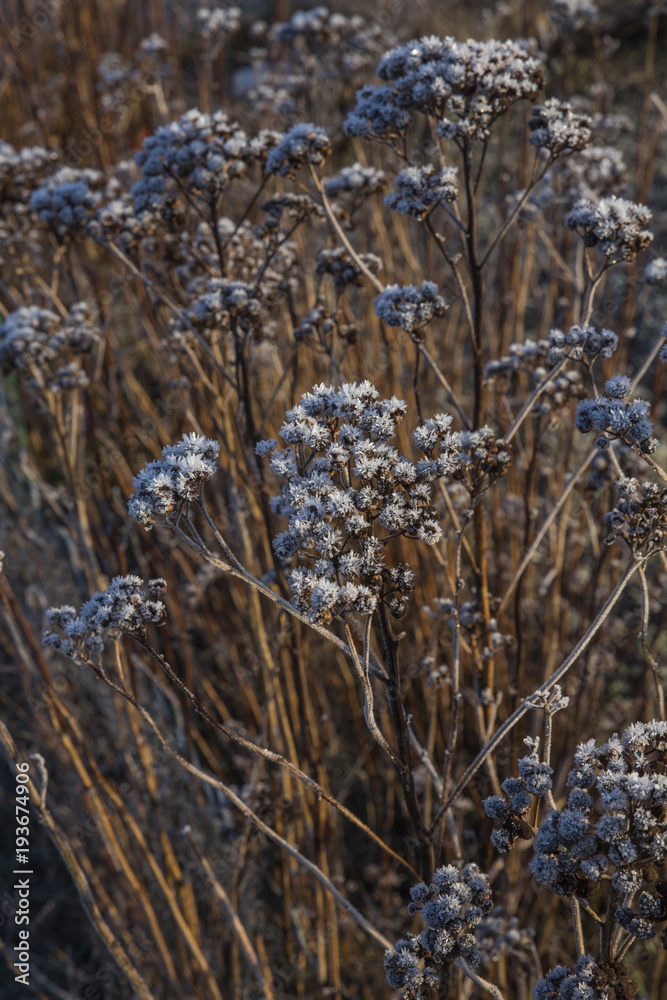 Between winter and spring