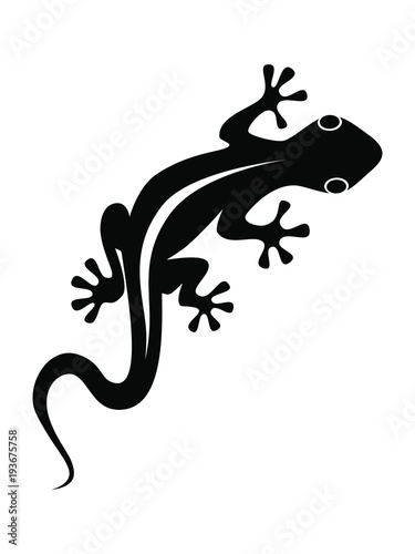 Photographie Lizard graphic icon