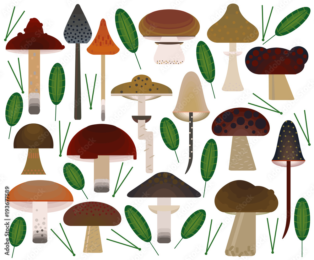 Vector flat style vector forest mushrooms. Ornamental, traditional with forest berries and mushroom, strawberries, deep, blueberries, mountain ash, cranberries, leaf Vector flat style vector forest mushrooms. Ornamental, traditional with forest berries and mushroom, strawberries, deep, blueberries, mountain ash, cranberries, leaf
