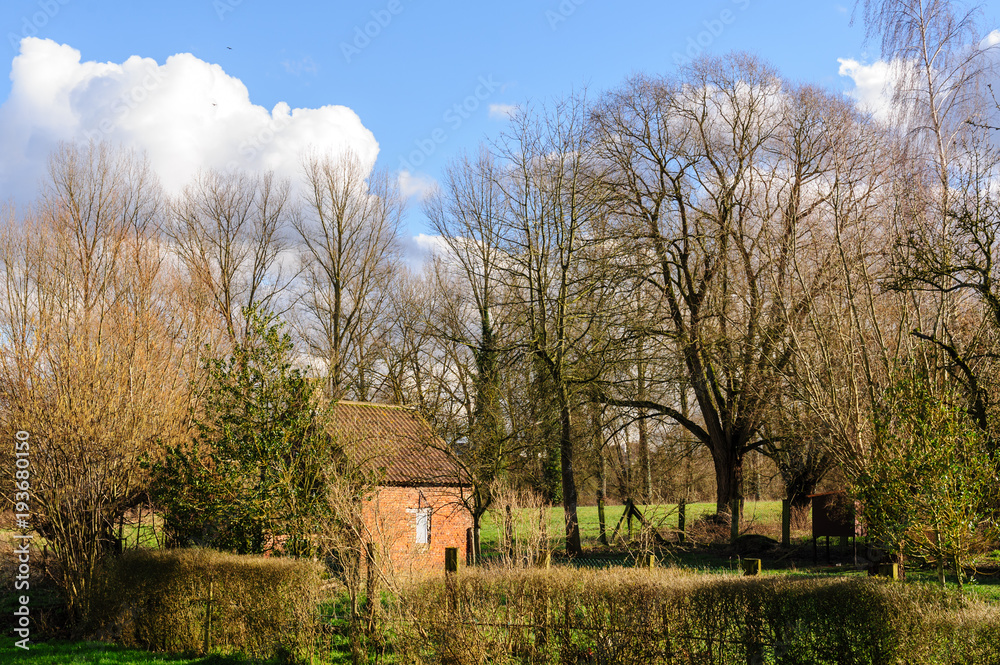 Fototapeta premium Late Afternoon in East Flanders