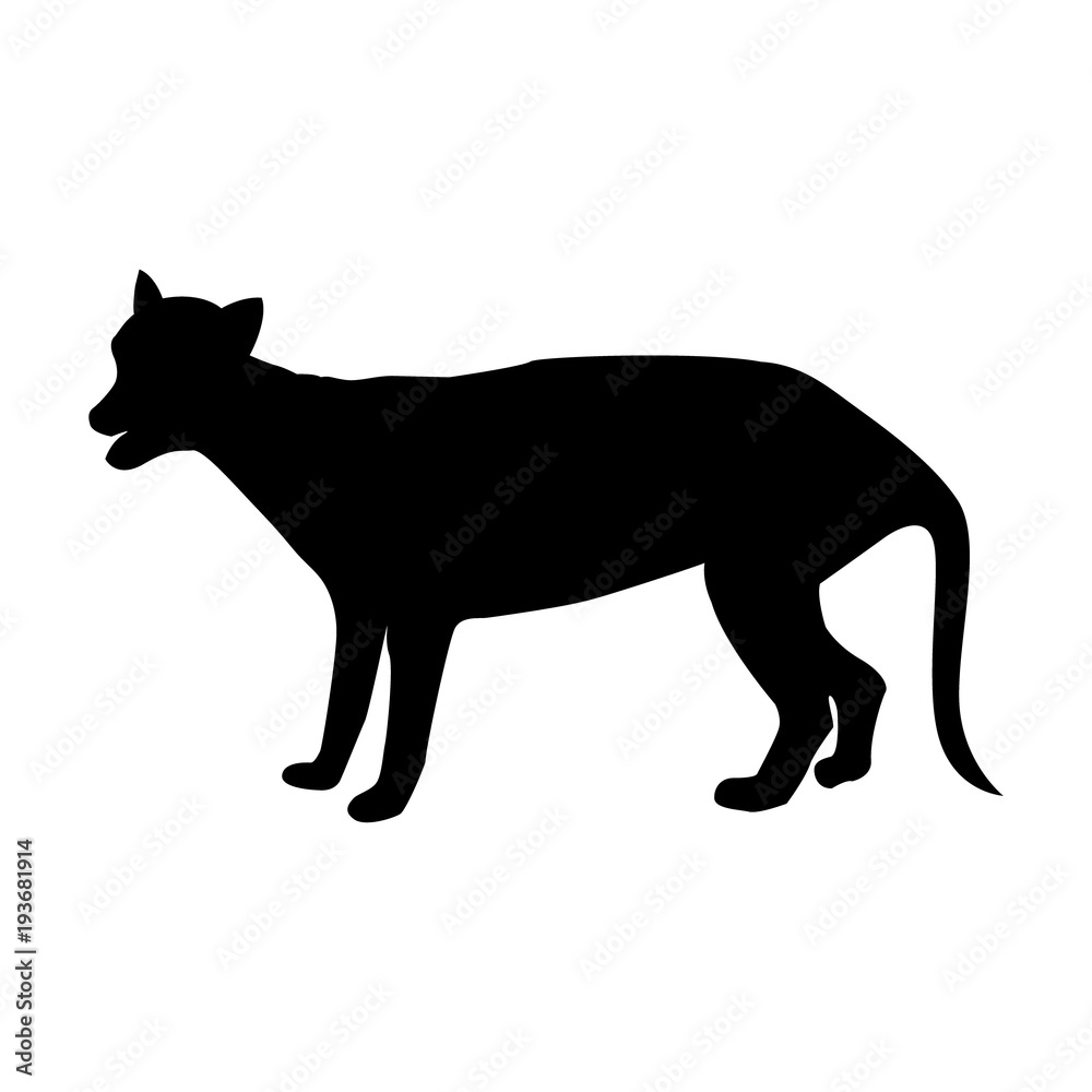 Marsupial wolf or thylacin silhouette