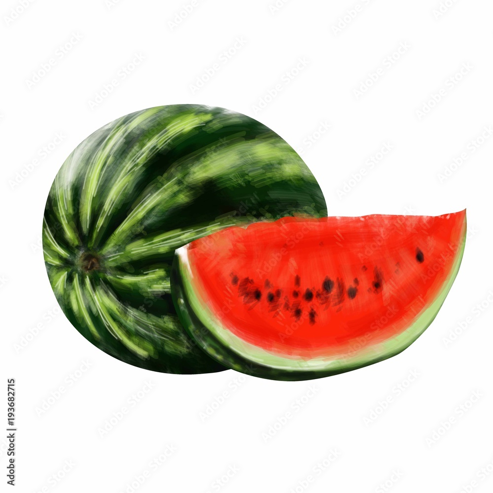 Round green watermelon with a red cut slice on a white background. Vector illustration.