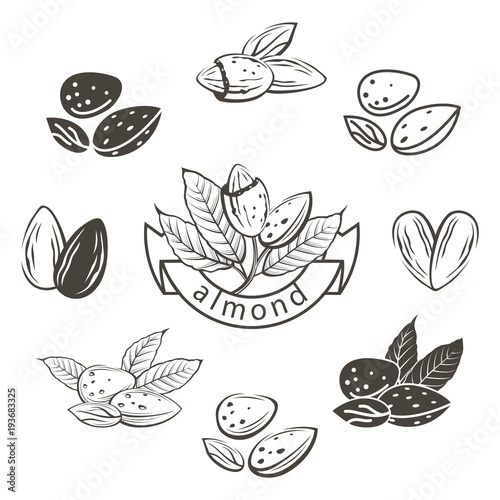 collection of monochrome almond nuts images