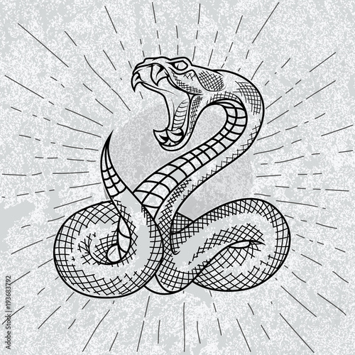 Viper snake in star rays with grunge background. Hand drawn illustration in outline. Occult symbol. 