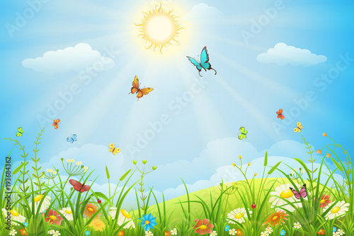Summer landscape with green grass, flowers, sun, sky and butterflies
