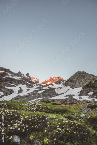 Sunset Mountains and flowers valley Landscape Summer Travel wild nature scenic