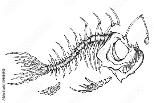 Angler fish skeleton mascot in ink technique.