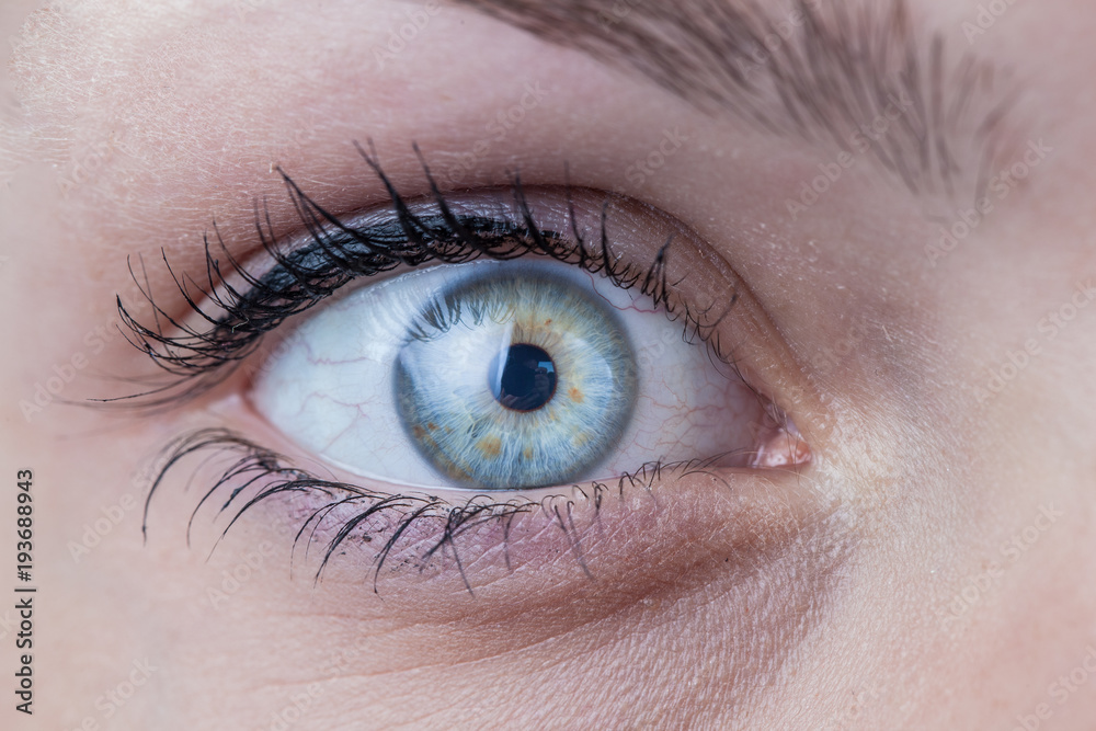 Close-up of a beautiful female blue eye Close-up of a beautiful female blue eye