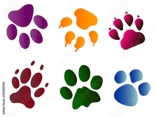 bright pet paw prints on white vector