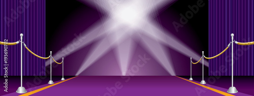 spots on wide purple carpet