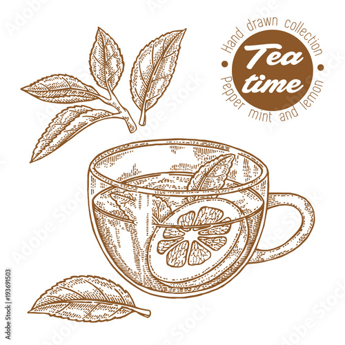 Hand drawn cup of tea. Herbal tea with lemon and mint isolated on white. Vector illustration engraved. Design for packaging.
