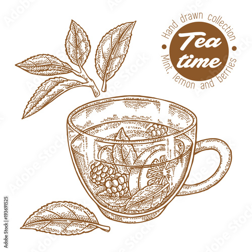 Hand drawn cup of tea. Herbal tea with lemon, mint and raspberry isolated on white. Vector illustration engraved. Design for packaging.