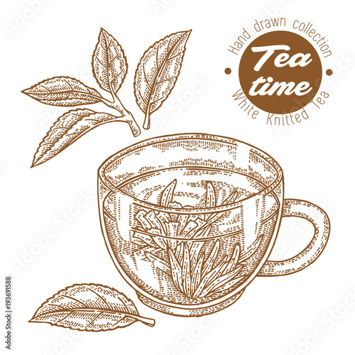Hand drawn cup of tea. White knitted tea isolated on white. Vector illustration engraved. Design for packaging.