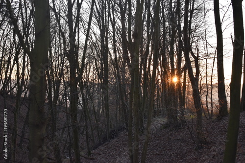 Fototapeta Naklejka Na Ścianę i Meble -  Sunset with beautiful landscape on a winter day in Melsungen near Kassel, Germany