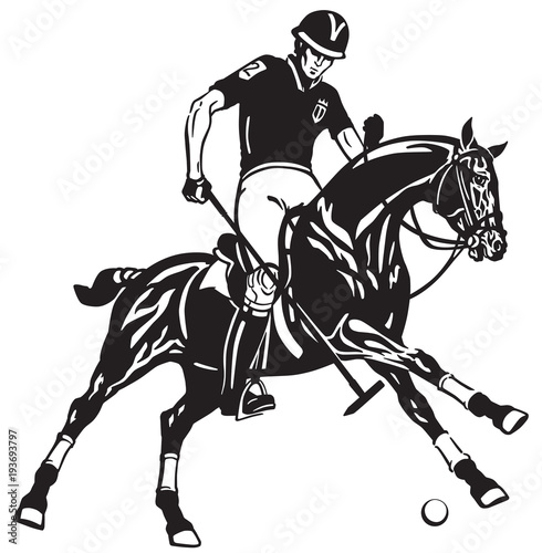  polo player riding a pony horse and holding a mallet stick to hit a ball .The  horse in gallop .Equestrian sport Black and white vector illustration © insima