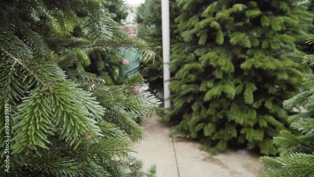Slow motion. Little girl playing at the Christmas tree farm