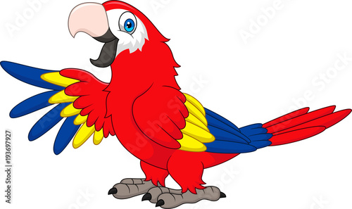 Cartoon funny macaw