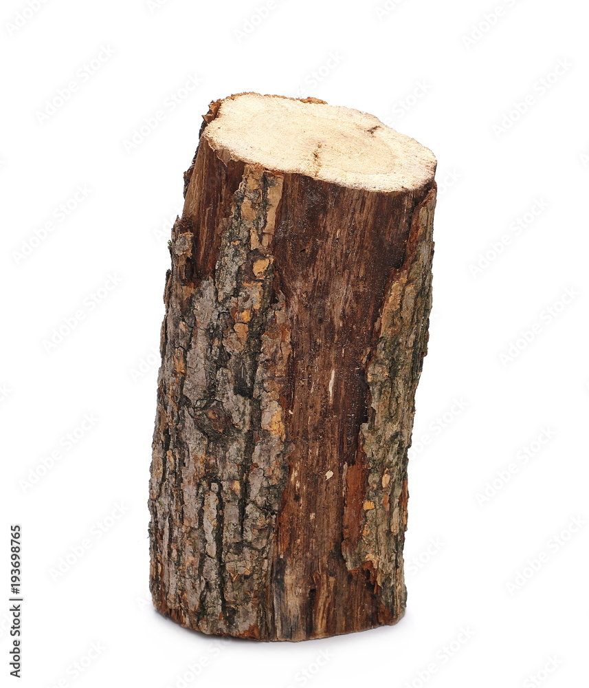 oak stump, log fire wood isolated on white background with clipping path oak stump, log fire wood isolated on white background with clipping path