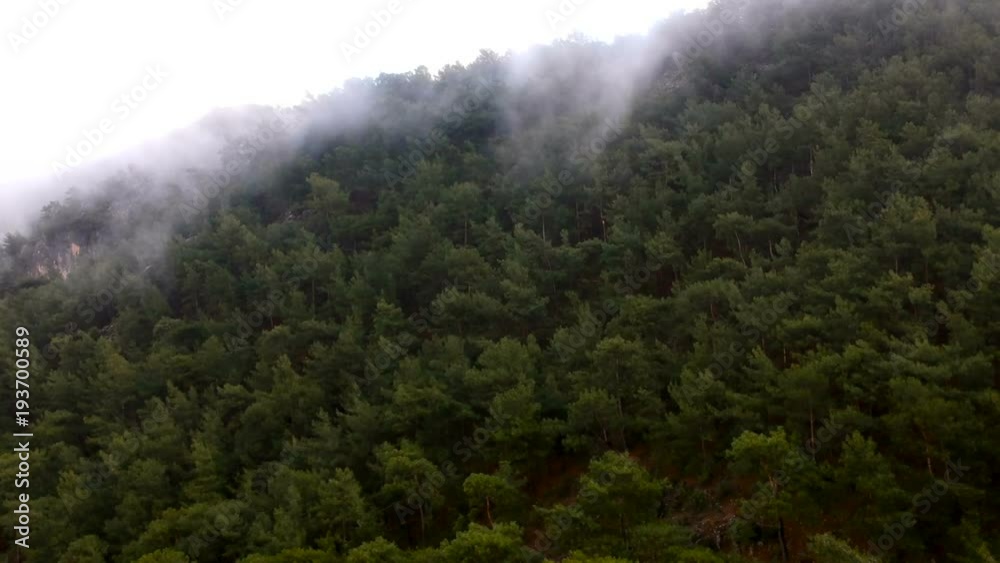 Flying over a mist covered forest on a mountainside in winter
